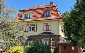 Roßtrappenblick